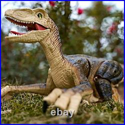 2Pcs Remote Control Walking Roaring Velociraptor Dinosaur Toy for Boys Girls