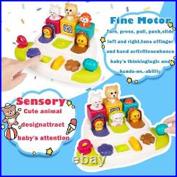 Baby Pop Up Animal Toy Early Learning Development Montessori Sensory Interactive