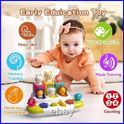 Baby Pop Up Animal Toy Early Learning Development Montessori Sensory Interactive