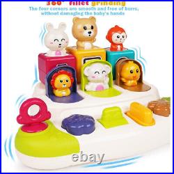 Baby Pop Up Animal Toy Early Learning Development Montessori Sensory Interactive