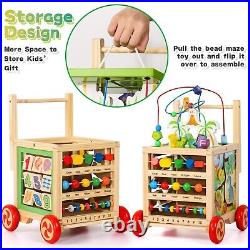 Baby Walker Toys for 1 Year Old Boy Girl, Montessori Toys for 1 2 Year Old Wa