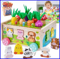 Toddler Montessori Wooden Farm Toys Babies 12-18 Months Toy with Game Map for